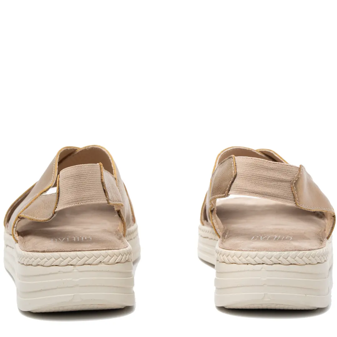 GTIN: 5942770006545, SKU: f-6.2-v4-38, GLEMIS