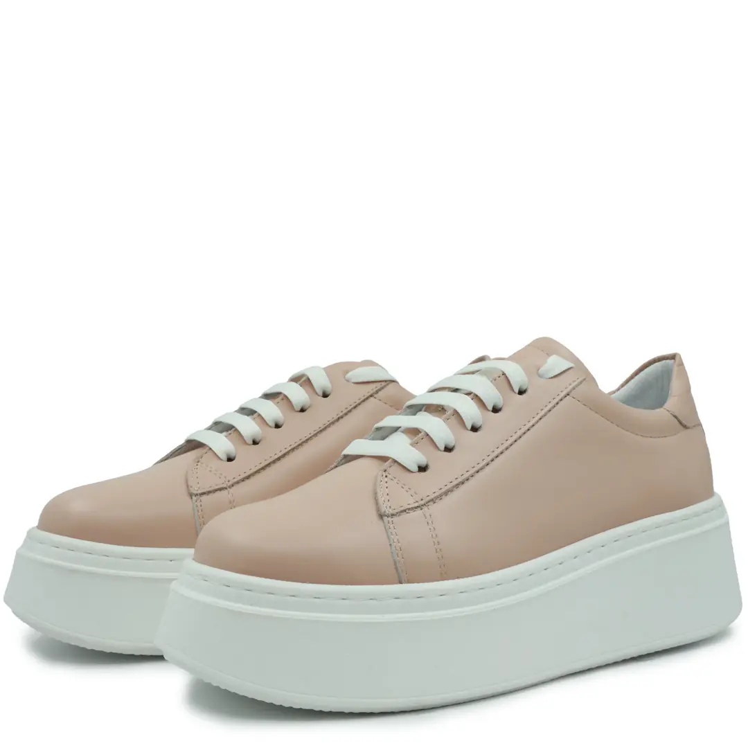 GTIN: 5942770024198, SKU: f-6.5-v12-41, GLEMIS