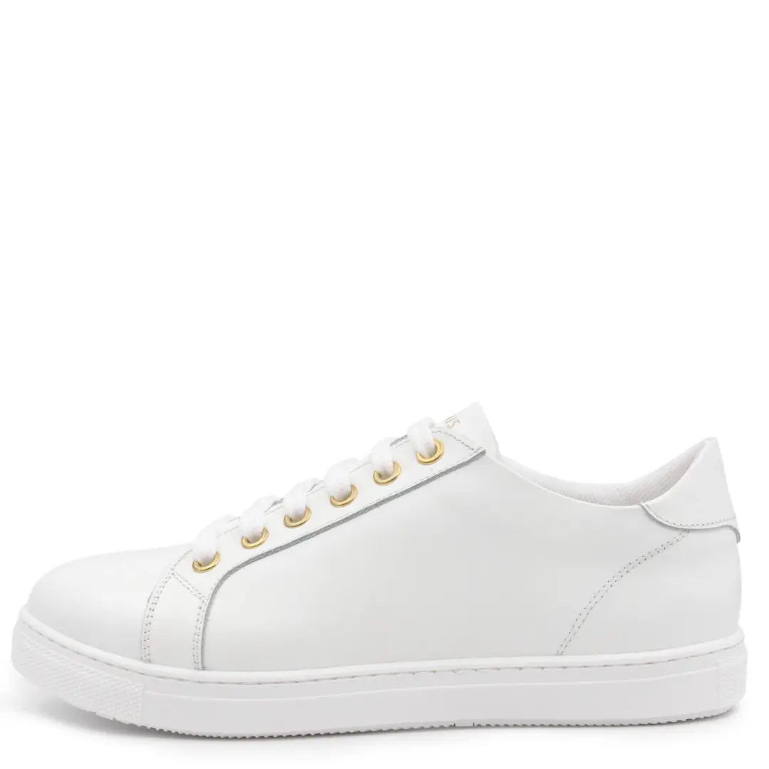 GTIN: 5942770041096, SKU: f-4.101-v1-40, GLEMIS