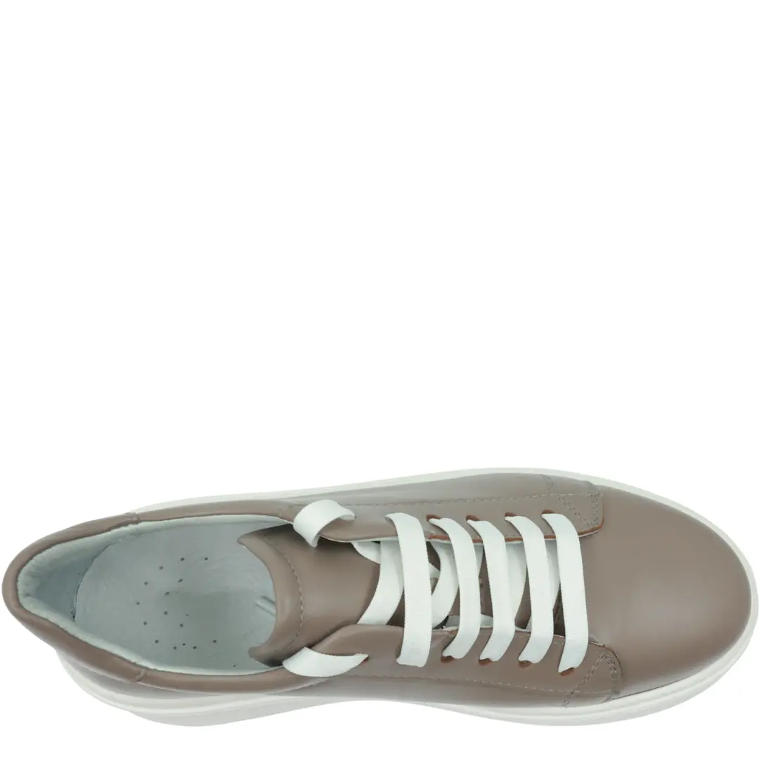 GTIN: 5942770032773, SKU: f-6.5-v17-37, GLEMIS