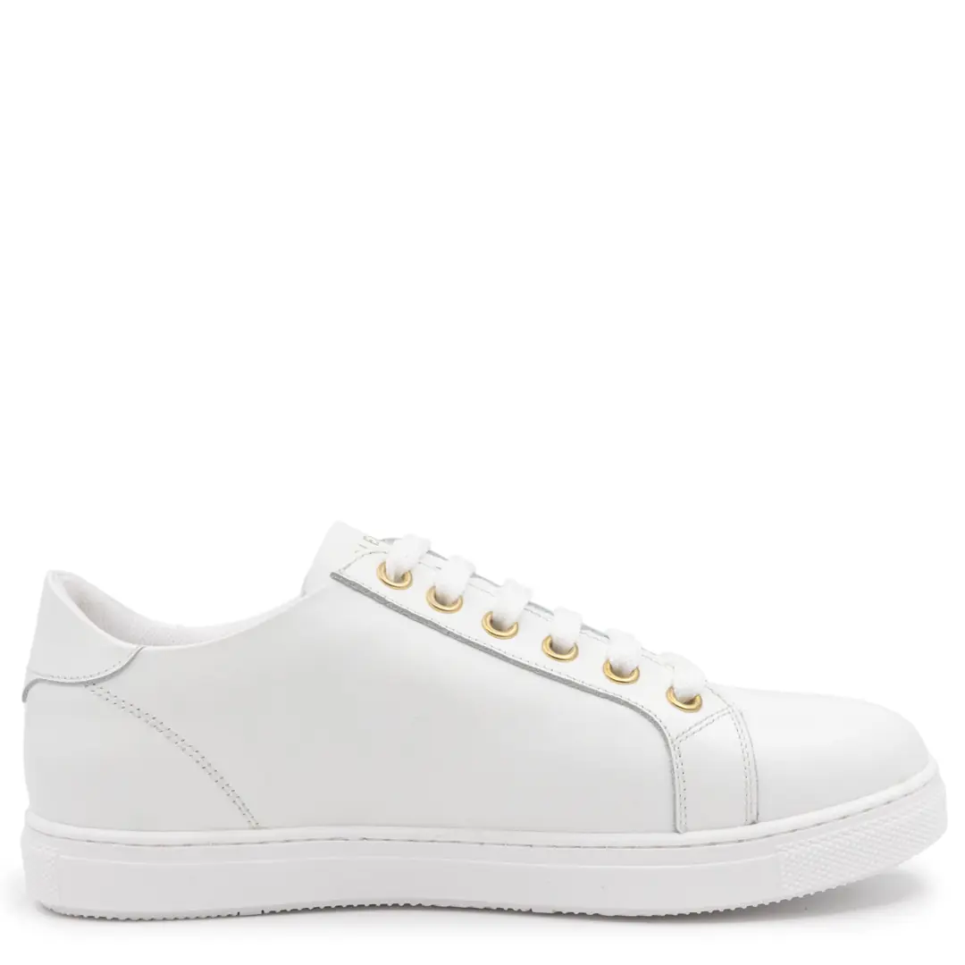 GTIN: 5942770041096, SKU: f-4.101-v1-40, GLEMIS