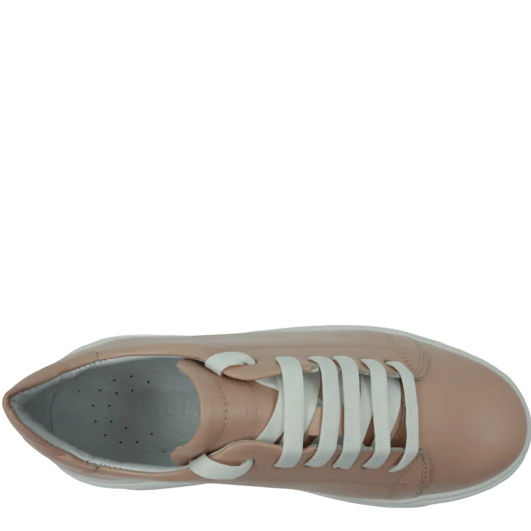 GTIN: 5942770024143, SKU: f-6.5-v12-36, GLEMIS