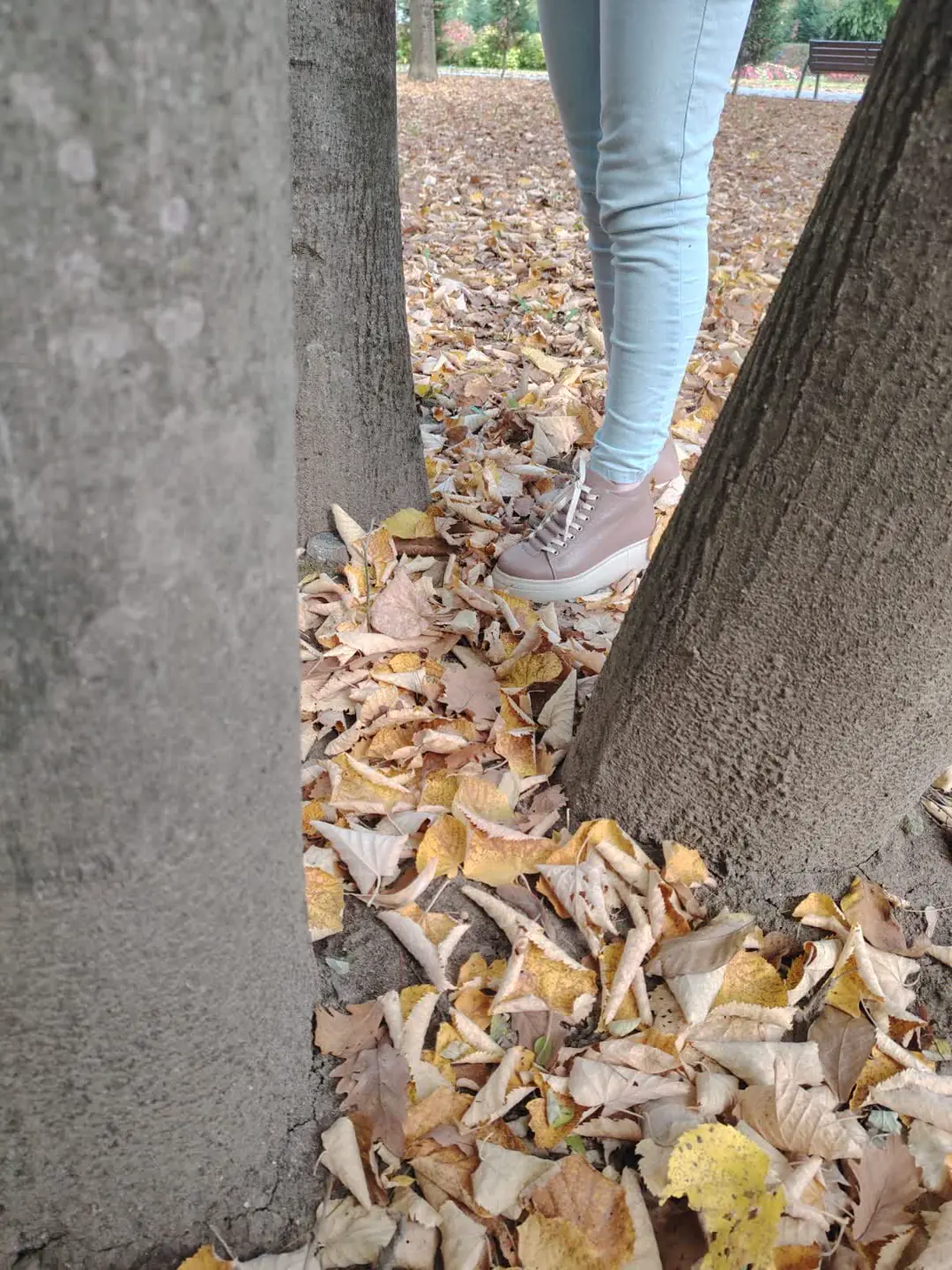 GTIN: 5942770008488, SKU: f-2.2-v6-37, GLEMIS