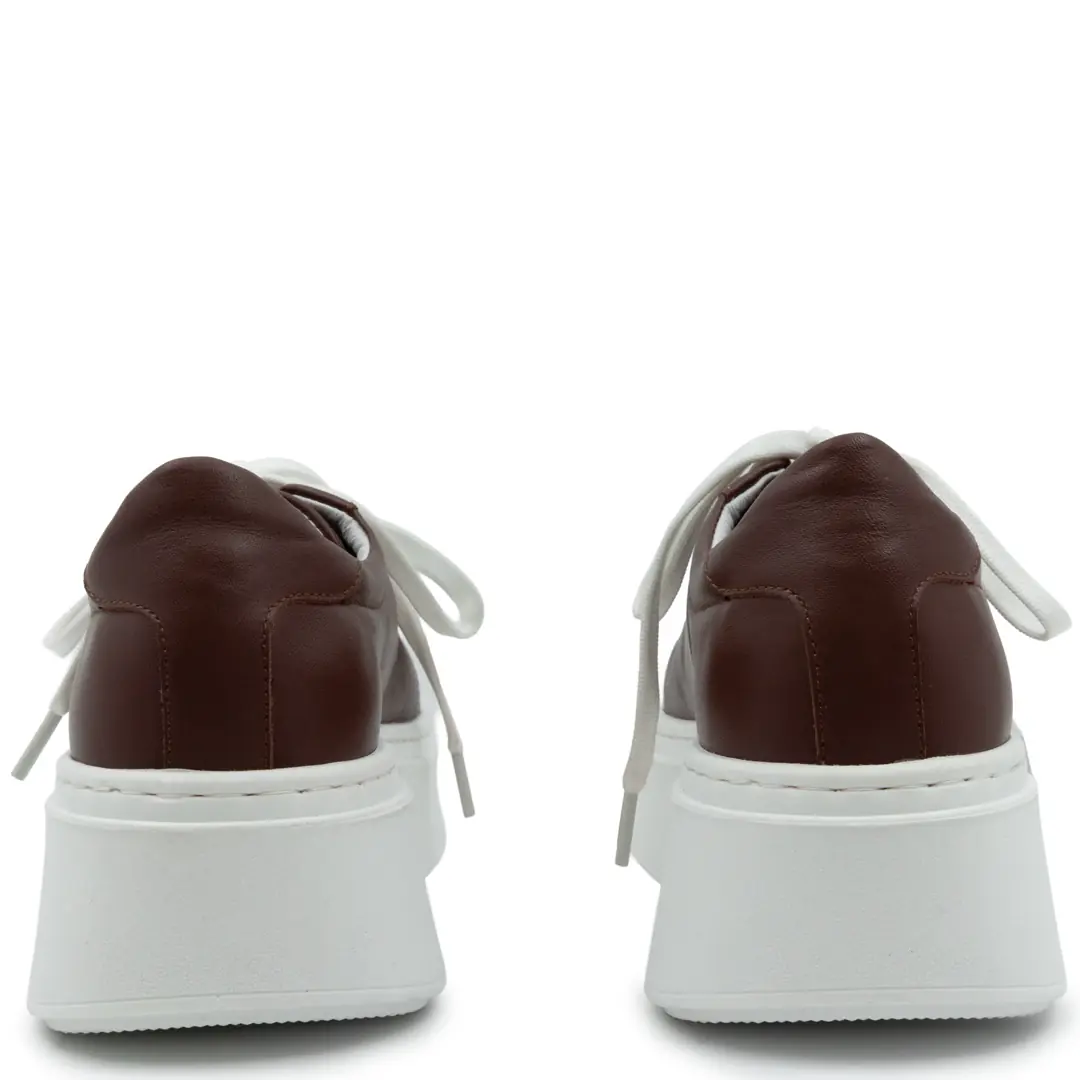 GTIN: 5942770024501, SKU: f-6.5-v5-36, GLEMIS