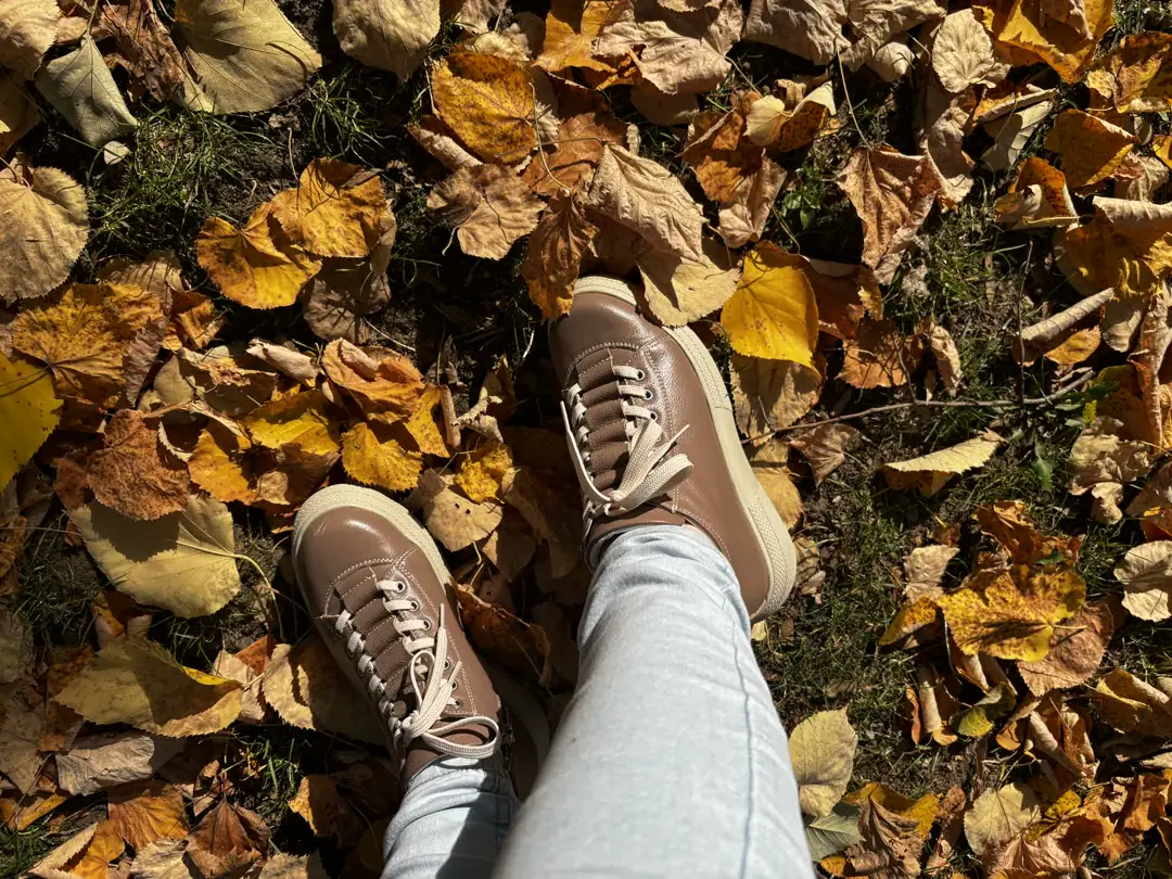 GTIN: 5942770008488, SKU: f-2.2-v6-37, GLEMIS